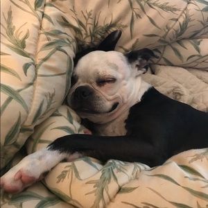 Meet your Posher, Jordan